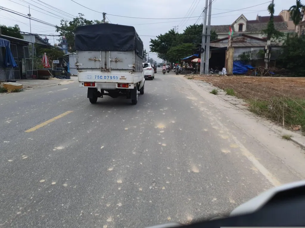 Phòng Khám Thú Y Vinh Thanh