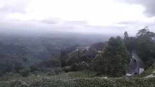 Bali Strawberry Farm & Resto