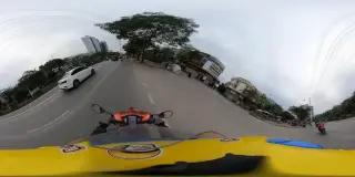 Trâu Tươi Thúy Hằng