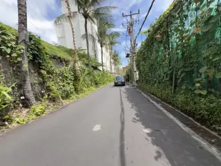 Phoenix INK BALI
