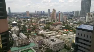 Ochaya sakha xakhar phhlyothin phels