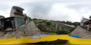 Waivy Travel