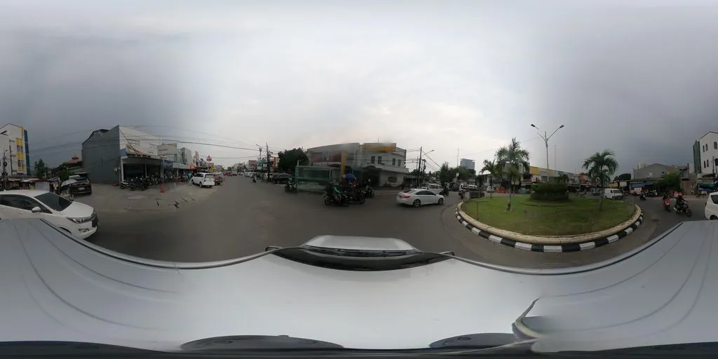 Kay pet shop and care