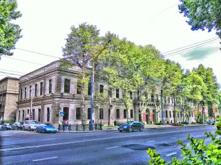 MoMA Tbilisi