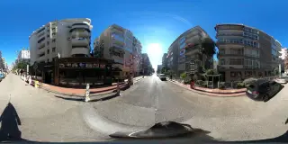 Şişko Tantuni
