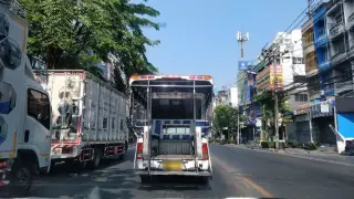 Bangna Pet hospital l