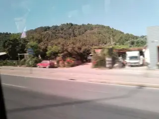 Avokado Express