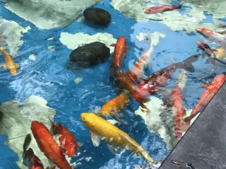 Canifa Time City - Hai Bà Trưng - Hà Nội