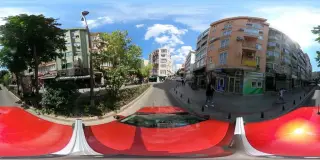 Ayı