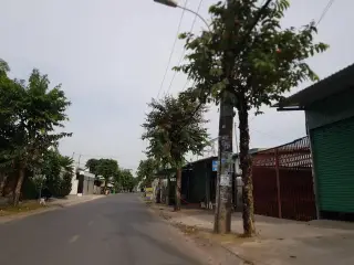 Green Field Đồng Xanh