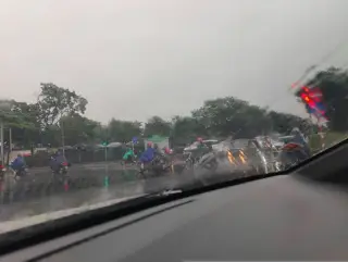 Da Giày Việt Nam