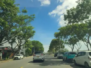 Đồ Gỗ Phong Thuỷ Đà Nẵng Bửu Trần