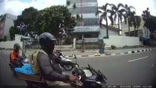 Mangga dua