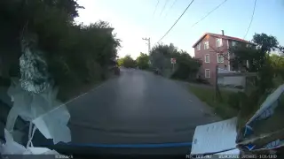 Söğütlü Bahçe Piknik Yeri