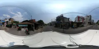 Shakebor
