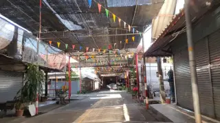 Peacock shop Baanthawai