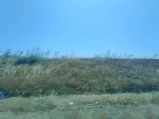 Nasibim.balik