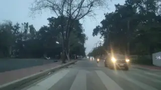 Txngkar Yang (Meuxng Xek M.Rangsit)