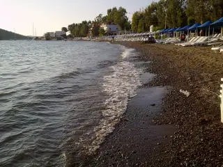 Cafe Bien Gümüşlük — photo 3
