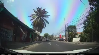 Wajique
