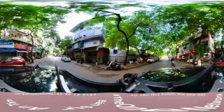 Shop Hạt Giống Rau Củ Hoa Quả Sỉ Và Lẻ