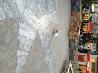Maxtone İşitme Merkezleri Pendik
