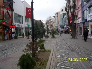Pendik Merkez Balıkçısı — photo 2