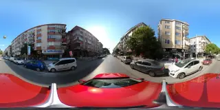 Asia Veteriner Kliniği