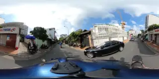 Cá Biển Rau Rừng