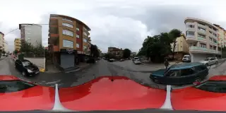 Barboros