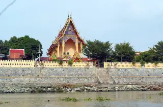 GattoCha at Ayutthaya