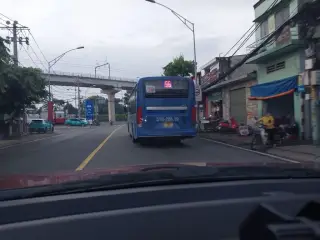 Tập Nuôi Heo