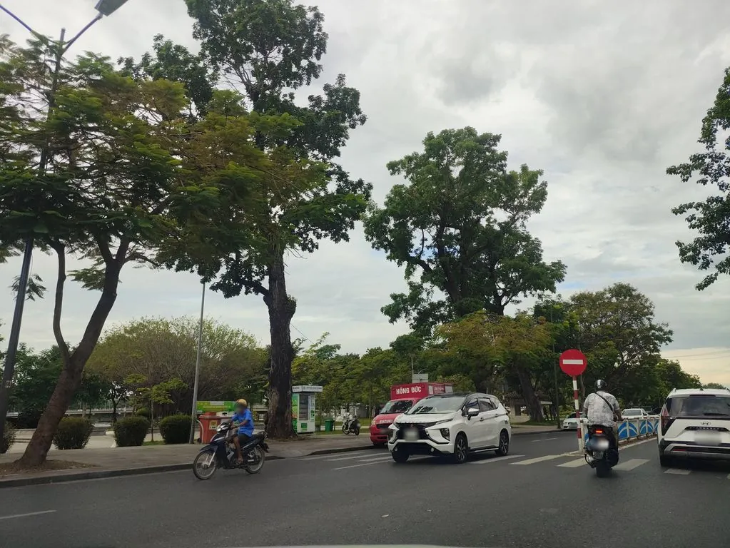 Cá cảnh Quang Toàn
