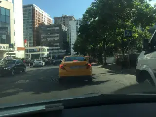 Dr. Başak Namdar ÇELİKKAN