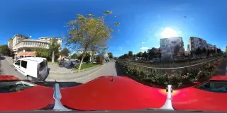 Kanaryam Akvaryum & Kuş