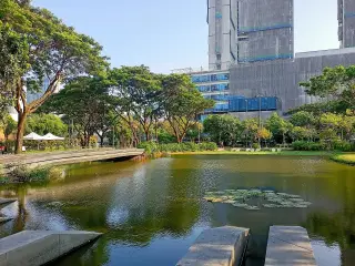 Im Park