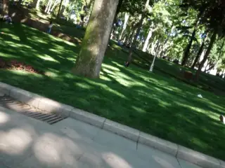 Gülhane Parkı Kandil Kafe