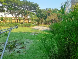 I'm Park
