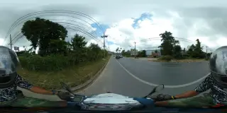 บอยการยางเกาะสมุย