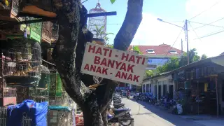Puri Agung Denpasar