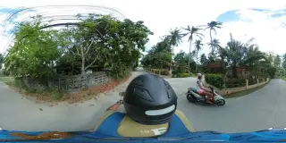 Oyster Bar Samui
