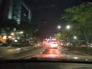 Maeng Ko Mane Y