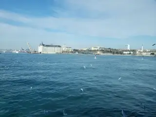 Deniz Yıldızı Cafe