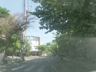 Pallet gỗ, gỗ thông Đà Nẵng