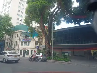 Lẩu Cua Đồng Hàm Long