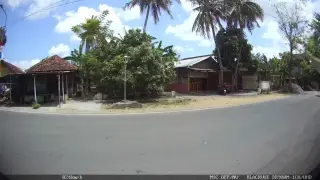 Nasi tempong mas bowo