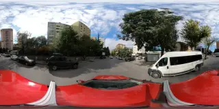 Kayıp Balık