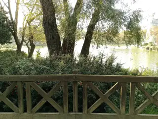 Bahçeşehir Gölet Gönüllüleri