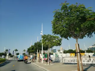 Dubai Yachts