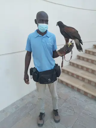 Ammos Dubai